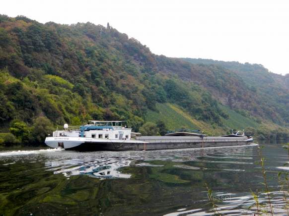 Dei Voluntas — thumbnail 2